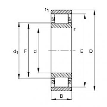 Rodamiento N248-E-TB-M1 FAG