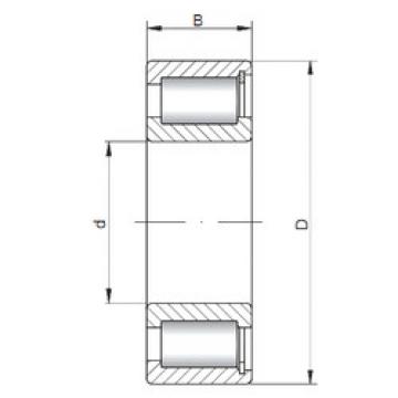 Rodamiento NCF1840 V CX