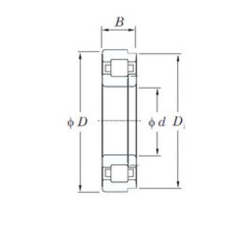 Rodamiento NUP313R KOYO