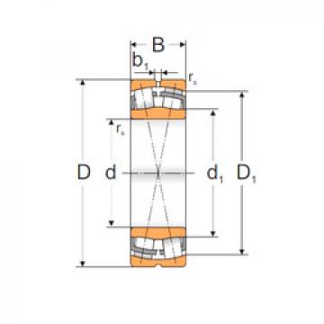 Rodamientos 24036 MBW33 MPZ