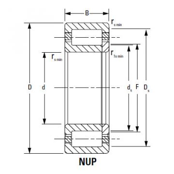 Bearing NJ2238EMA