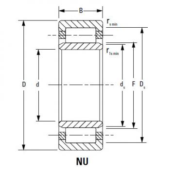 Bearing NJ2226EMA