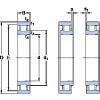 Rodamiento N 1015 KTNHA/HC5SP SKF #1 small image