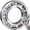  RLS8J Roller Bearing -  Stainless Steel Bearings 2018 LATEST SKF #1 small image