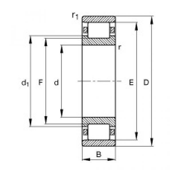 Rodamiento N213-E-TVP2 FAG #1 image