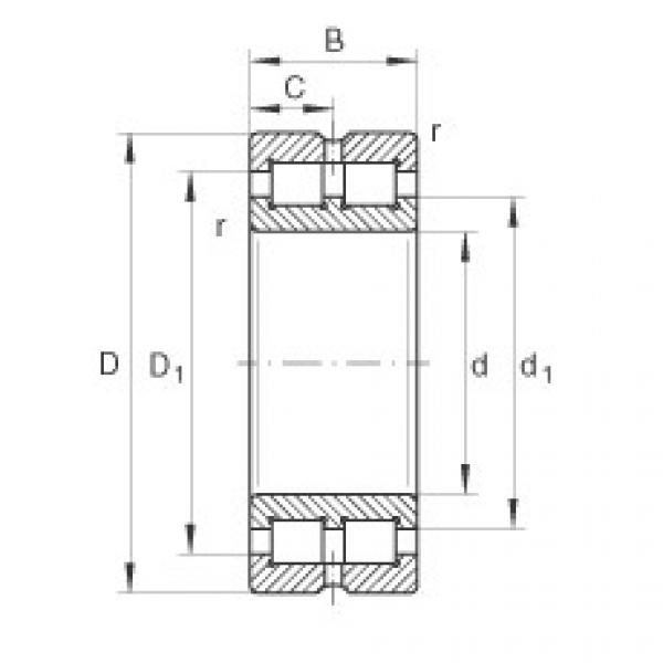 Rodamiento SL014876 INA #1 image