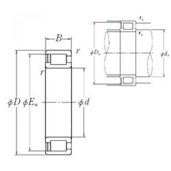 Rodamiento NCF2980V NSK #1 image