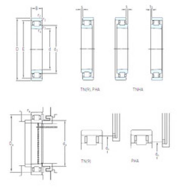 Rodamiento N 1015 KTN/HC5SP SKF #1 image