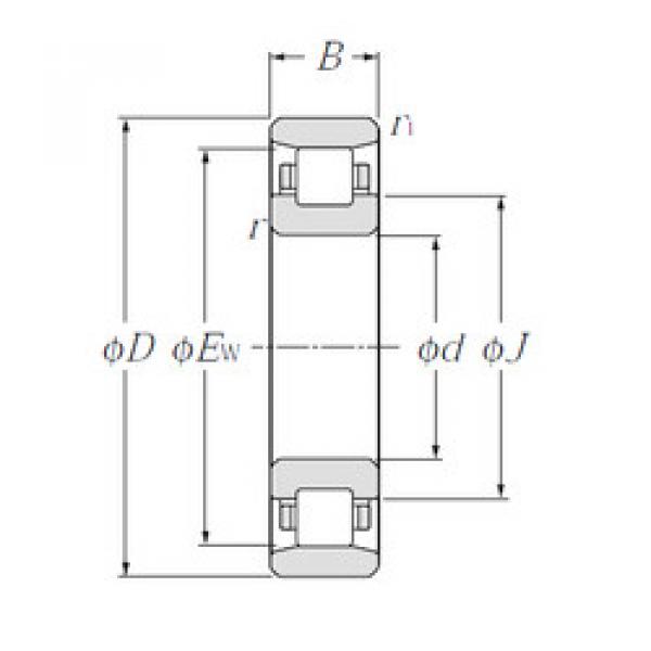 Rodamiento N203 CYSD #1 image